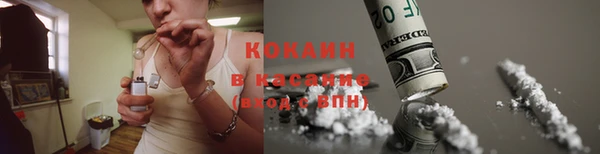 шишки Балашиха