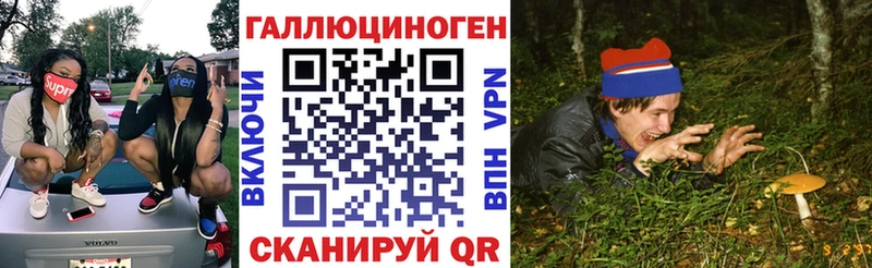 наркота  Нефтеюганск  Псилоцибиновые грибы Psilocybe 
