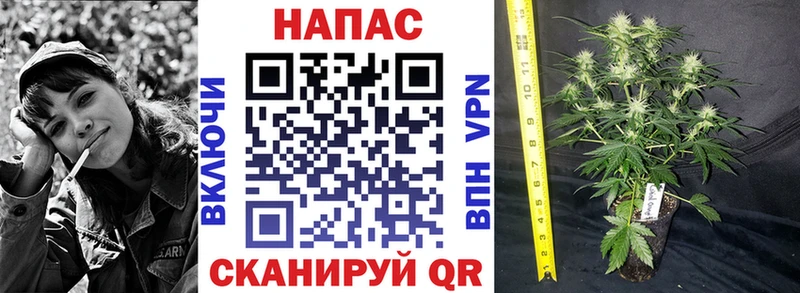 Марихуана ГИДРОПОН  Нефтеюганск 